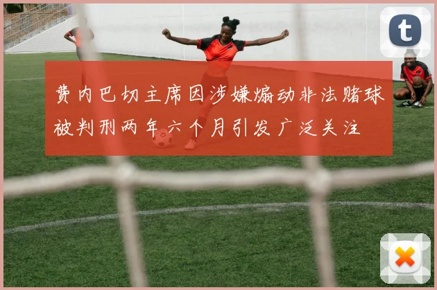 费内巴切主席因涉嫌煽动非法赌球被判刑两年六个月引发广泛关注