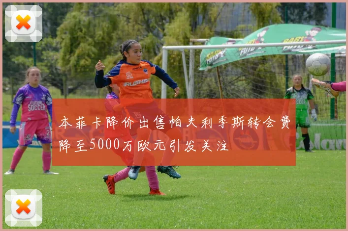 本菲卡降价出售帕夫利季斯转会费降至5000万欧元引发关注