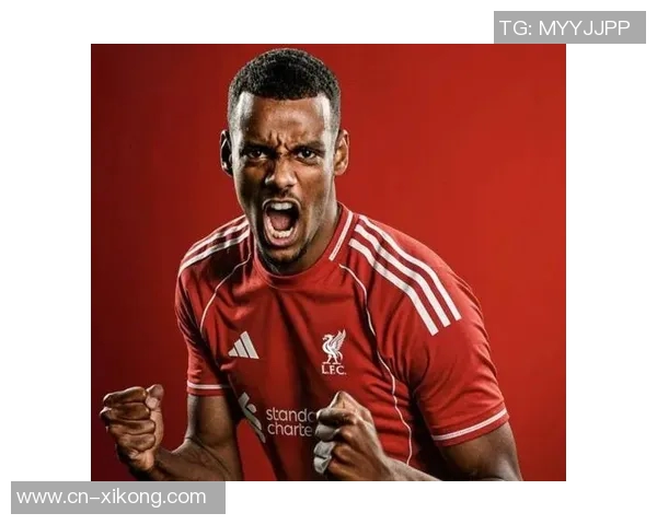 2025年英超俱乐部转会费支出榜揭晓利物浦以483亿欧元位居第一